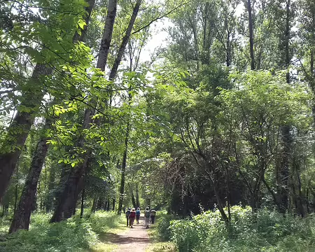 012 Chemin dans la vallée de la Lère
