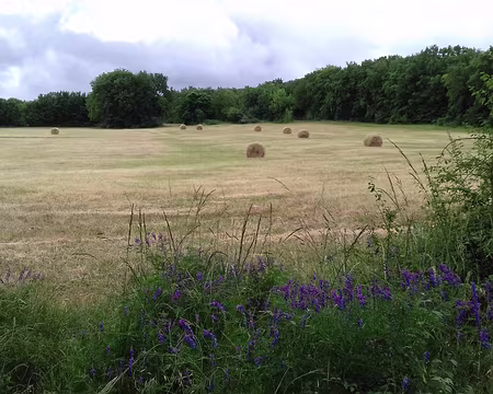 024 Après la récolte