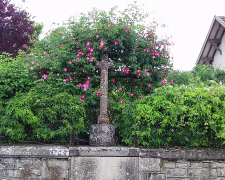 045 Une croix au milieu des fleurs dans le village de Saint-Pierre-de-Livron