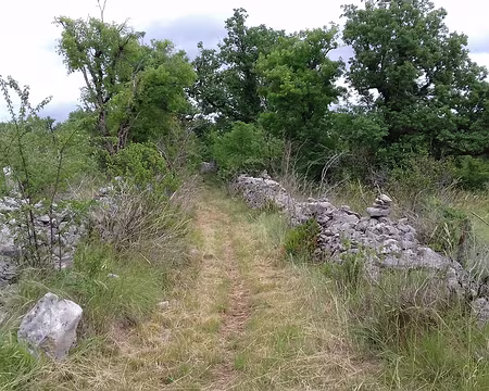 059 Murets en pierres sèches sur le causse calcaire