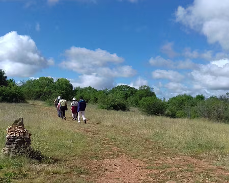 072 Le chemin sur les pelouses sèches du Causse du Quercy