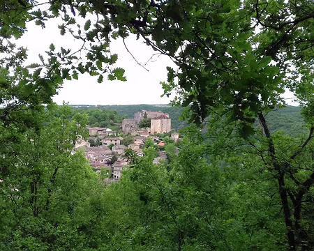 076 Vue partielle de Bruniquel à travers les feuillages
