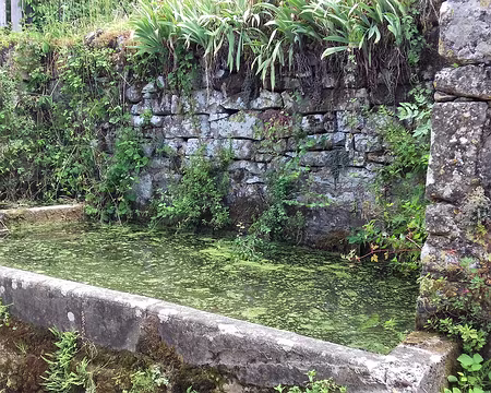 082 Ancien lavoir dans le hameau de Roussergue