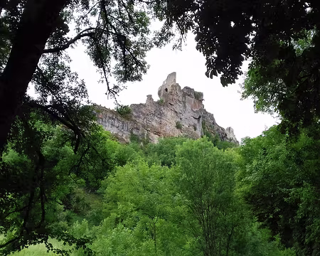 090 Les ruines du château de Penne (XIIème siècle) perché sur un piton rocheux à plus de 120 m au-dessus d’un méandre de l’Aveyron, en rive gauche
