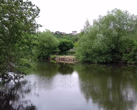 115 Un héron sur les berges de l’Aveyron à Villefranche