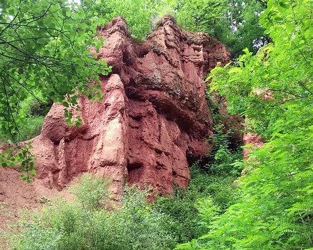 128 sont envahies par la végétation