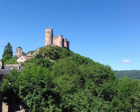 136 La forteresse royale de Najac (1253-1266) a été construite à l’emplacement d’un ancien castrum par le Comte de Toulouse, Alphonse de Poitiers, pour défendre le...