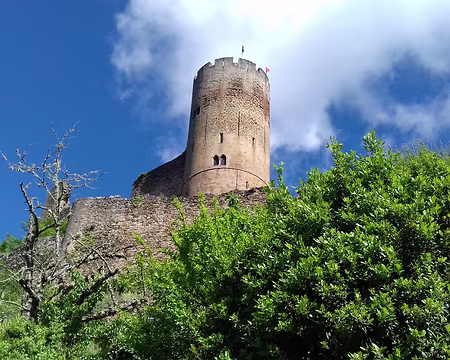 139 Le donjon (XIIIème siècle) possède les plus hautes archères du monde médiéval (8 m de haut)