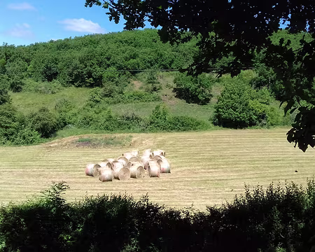 148 Bois et prairies du Ségala