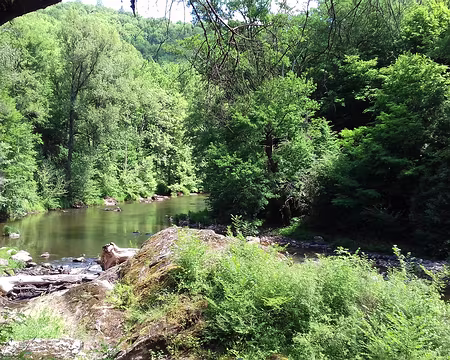 149 Le GR 36 longe les gorges de l’Aveyron (classées Natura 2000)