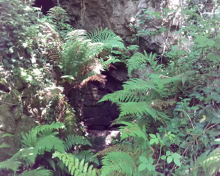 160 Résurgence et ancien lavoir (altitude 343 m) à mi-pente