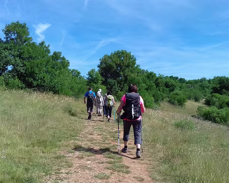 172 Sentier sur le causse