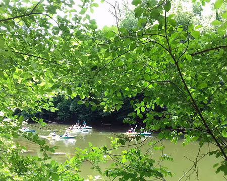 175 Arrivée sur la rive droite de l’Aveyron (altitude 134 m)