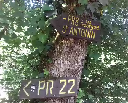 191 L’après-midi, randonnée jusqu’à la grotte de la Gourgue, non loin de Saint-Antonin