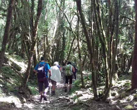 196 Le chemin du retour