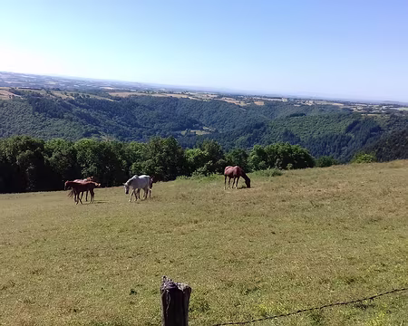 199 Paysage bucolique du Ségala