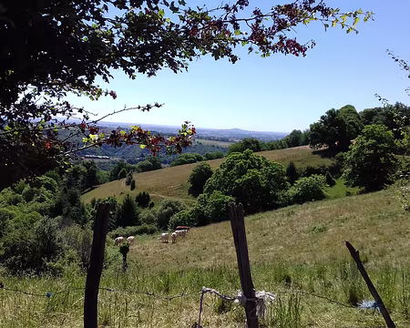 208 Paysage bocager du Ségala