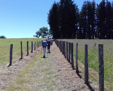 211 Montée vers le Cheval du Roi et le belvédère du Puech