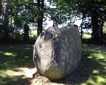 212 Le Cheval du Roi est un mégalithe en granite long de 3 m, daté de l’Âge du Cuivre, érigé au point culminant du Puech (623 m)