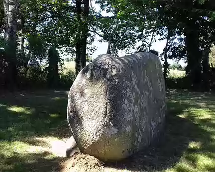 212 Le Cheval du Roi est un mégalithe en granite long de 3 m, daté de l’Âge du Cuivre, érigé au point culminant du Puech (623 m)