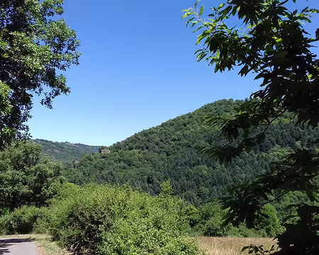 224 aux versants abrupts couverts de châtaigniers