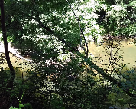 227 Vue de la rivière depuis les ruines du pont du Diable détruit par une crue en 1786