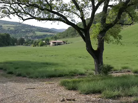 Isabelle Isabelle P, détail sortie