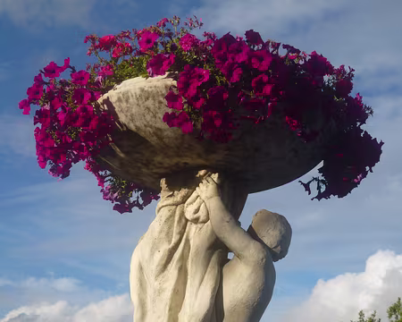 P1150327 Merci à Marylise.