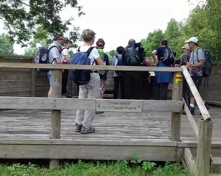 013 L’observatoire de la Grande Prairie dans le Marais de Misery