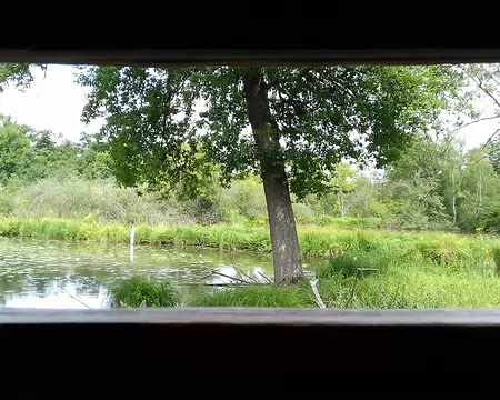 035 Vue sur l’un des étangs du Domaine départemental du Marais de Fontenay-le-Vicomte depuis l’observatoire de l’Etang aux Moines