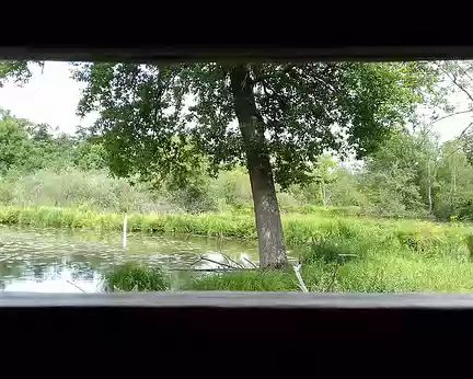 035 Vue sur l’un des étangs du Domaine départemental du Marais de Fontenay-le-Vicomte depuis l’observatoire de l’Etang aux Moines