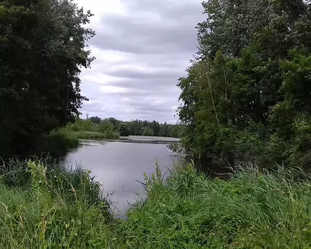 041 Dernier étang avant Mennecy