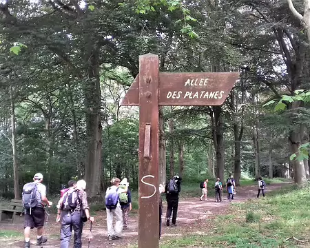 044 et l’allée des Hêtres pourpres