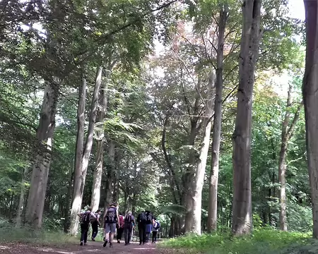 045 Merci Martine pour cette belle randonnée au pays des marais