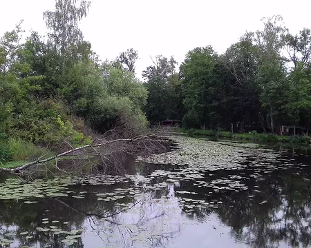 003 Le bief de l’ancien moulin d’Echarcon sur l’Essonne