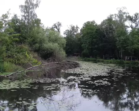 003 Le bief de l’ancien moulin d’Echarcon sur l’Essonne