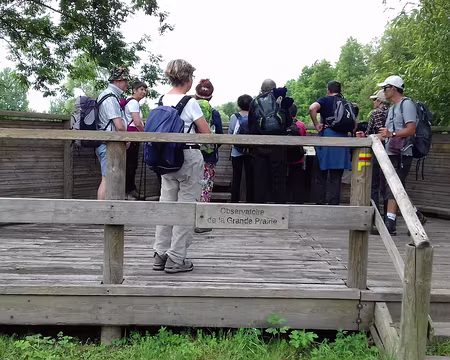 013 L’observatoire de la Grande Prairie dans le Marais de Misery