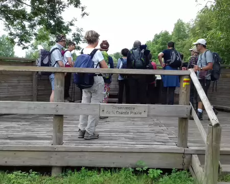 013 L’observatoire de la Grande Prairie dans le Marais de Misery