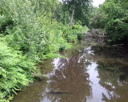 034 Au milieu coule une rivière