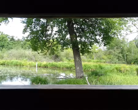 035 Vue sur l’un des étangs du Domaine départemental du Marais de Fontenay-le-Vicomte depuis l’observatoire de l’Etang aux Moines