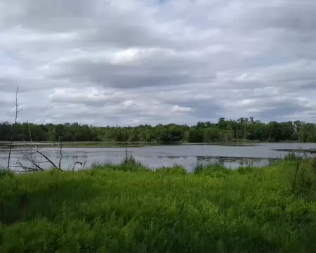 037 Autre vue sur l’étang depuis l’observatoire