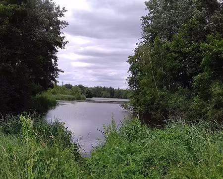 041 Dernier étang avant Mennecy