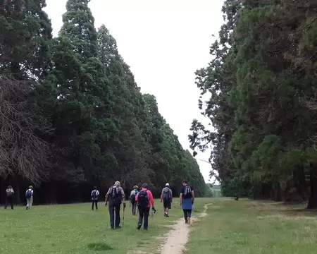 042 L’allée des Séquoias géants dans le parc de Villeroy à Mennecy. Longue de 800 m, cette allée est bordée de 134 séquoias plantés en 1887 (hauteur : 30 m,...
