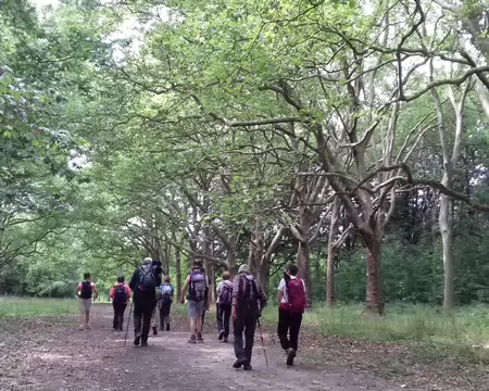 043 L’allée des Platanes dans le parc de Villeroy …