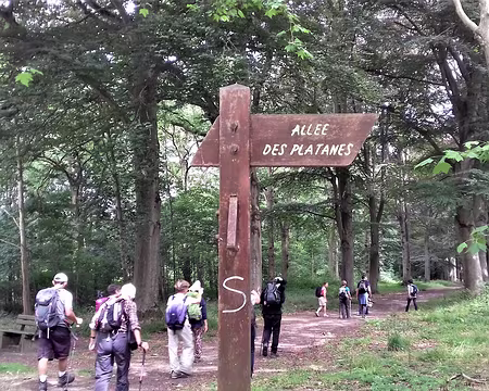 044 et l’allée des Hêtres pourpres