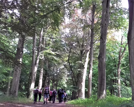 045 Merci Martine pour cette belle randonnée au pays des marais