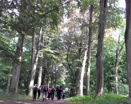 045 Merci Martine pour cette belle randonnée au pays des marais