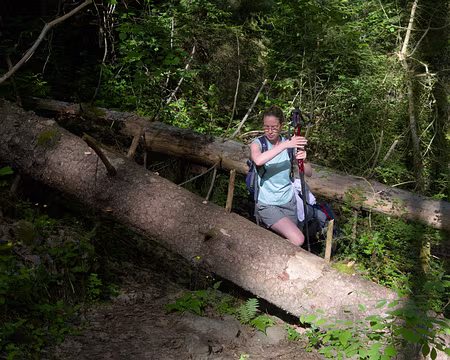 2022-06-05_08-07-19-_DSF0505-V1 Bizarre ce chemin