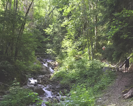 2022-06-05_09-37-52-_DSF0512-V1