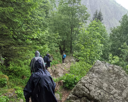 2022-06-05_13-16-22-20220605_111622_AD4DC5B8-V1 l'instant humide de la sortie